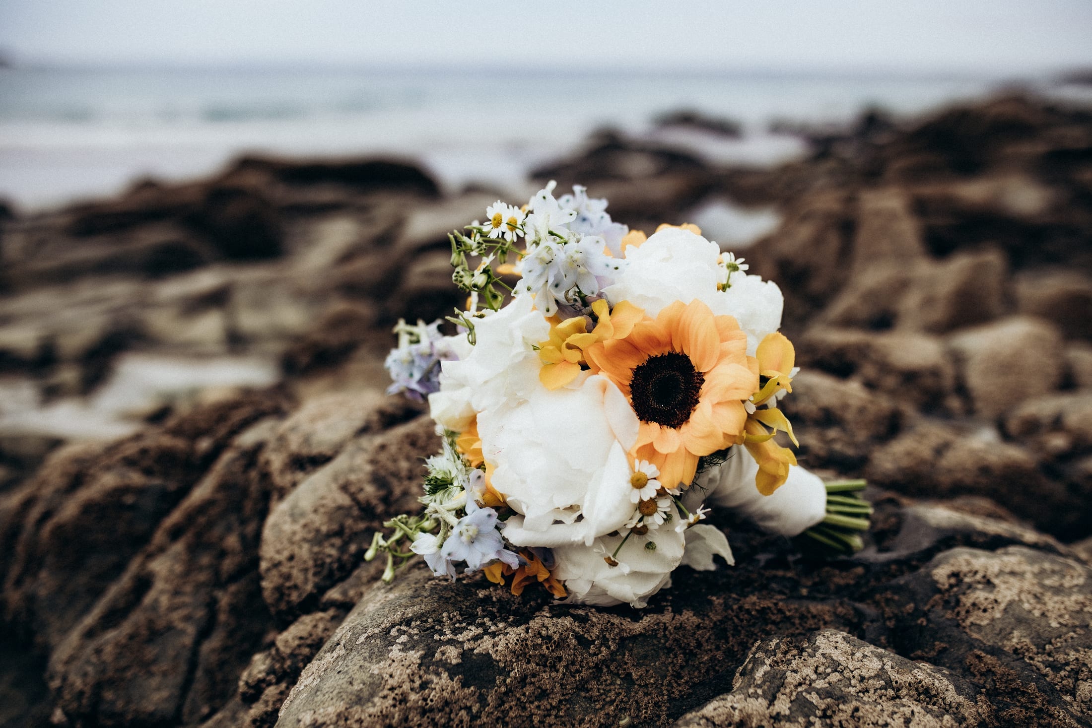 By the Sea — 19 / 35