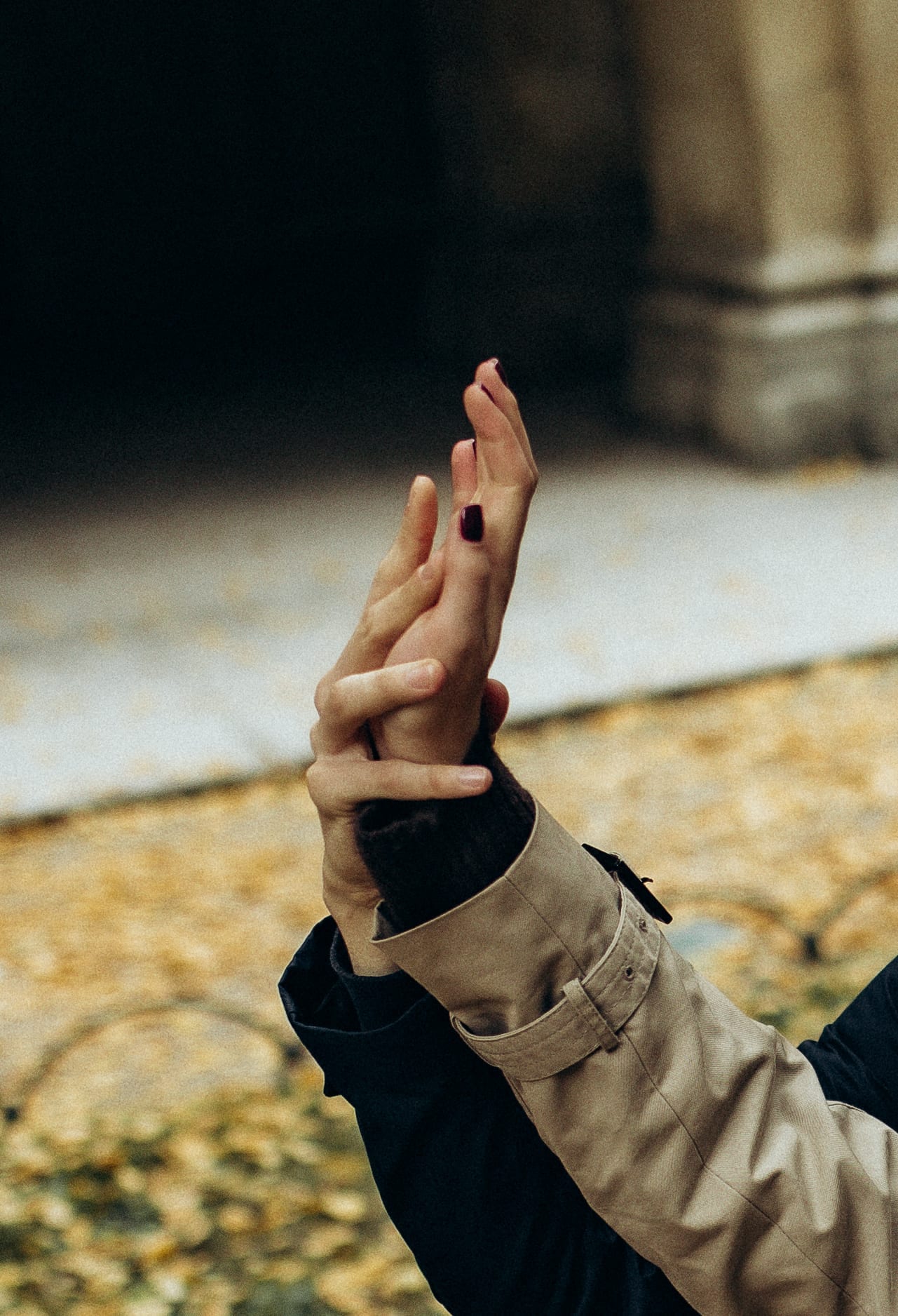 Sous les arcades — 19 / 44