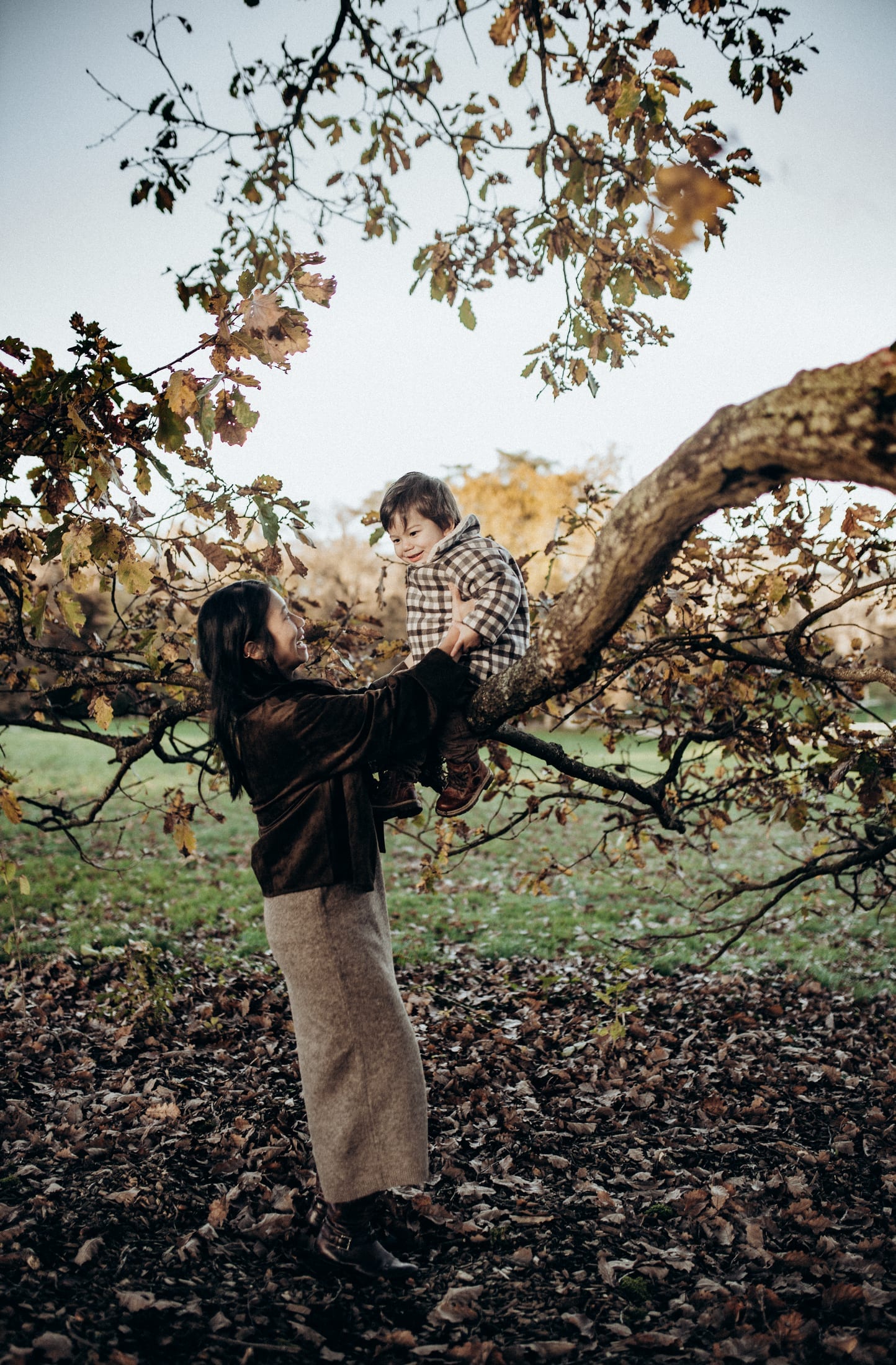 Out in the Open — 17 / 39