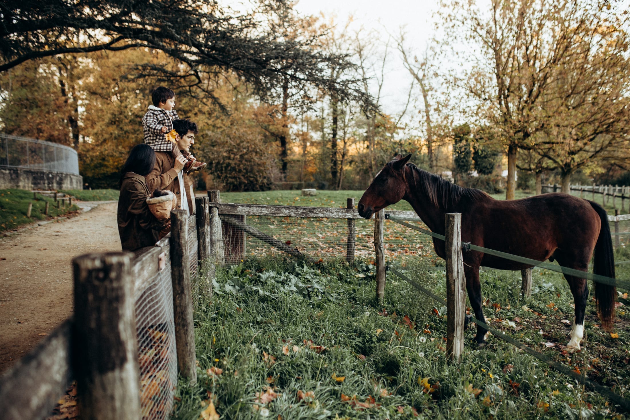 Out in the Open — 35 / 39
